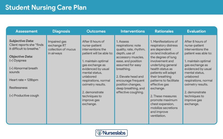 Nursing Care Plan NCP Ultimate Guide U0026 List 2025 Update Nurseslabs