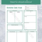 Nursing Care Plan Templates Etsy