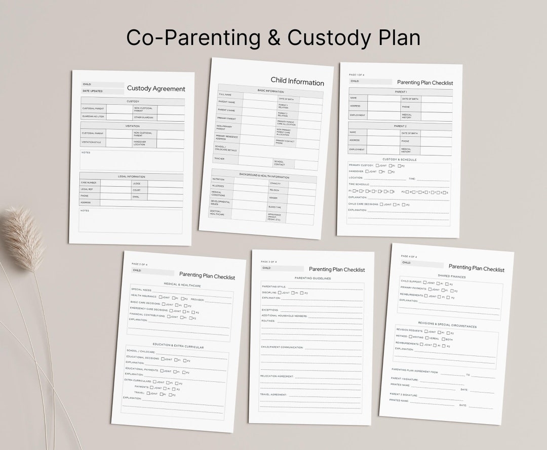 Detailed Parenting Plan Template