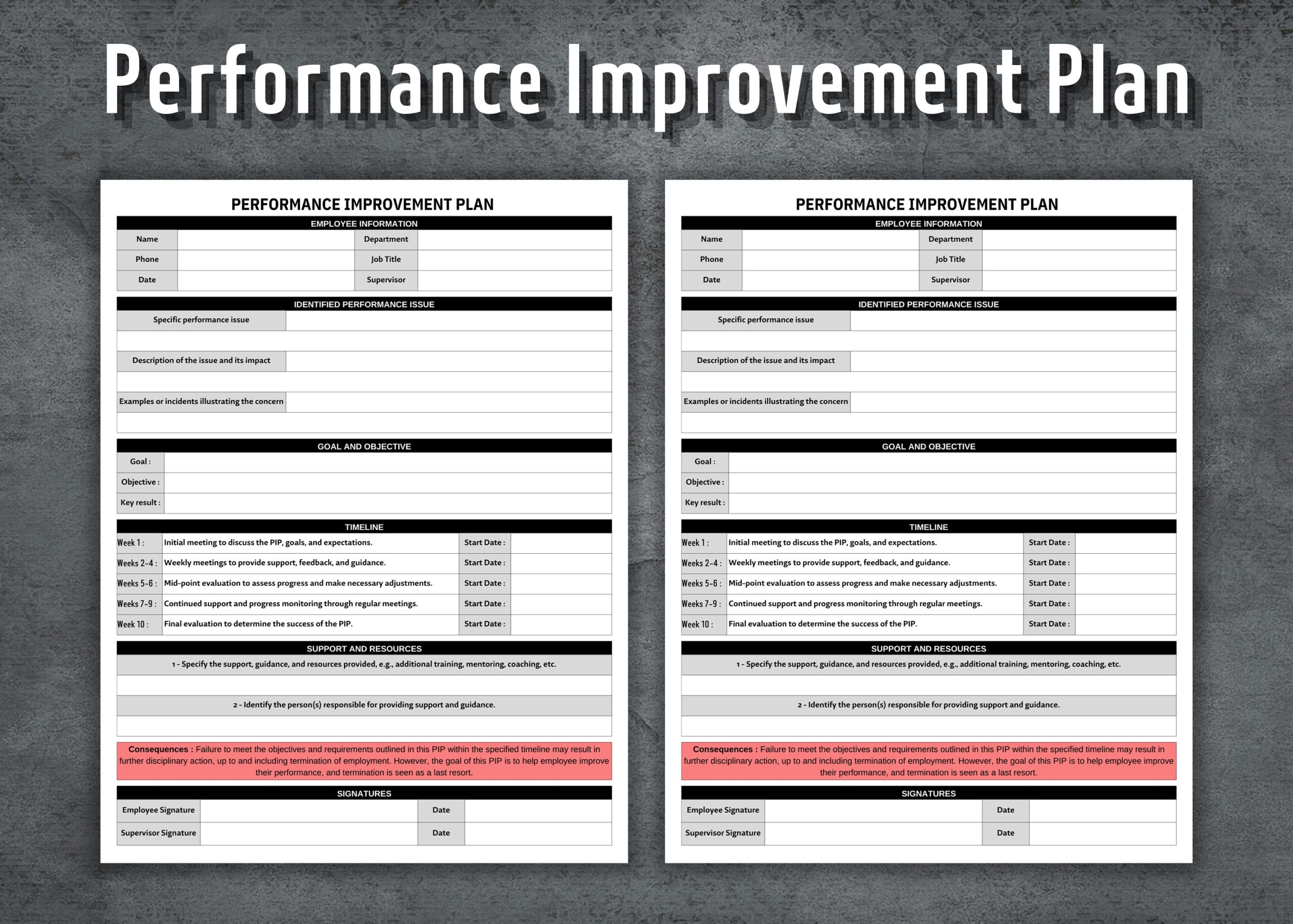 Performance Improvement Plan Form Template