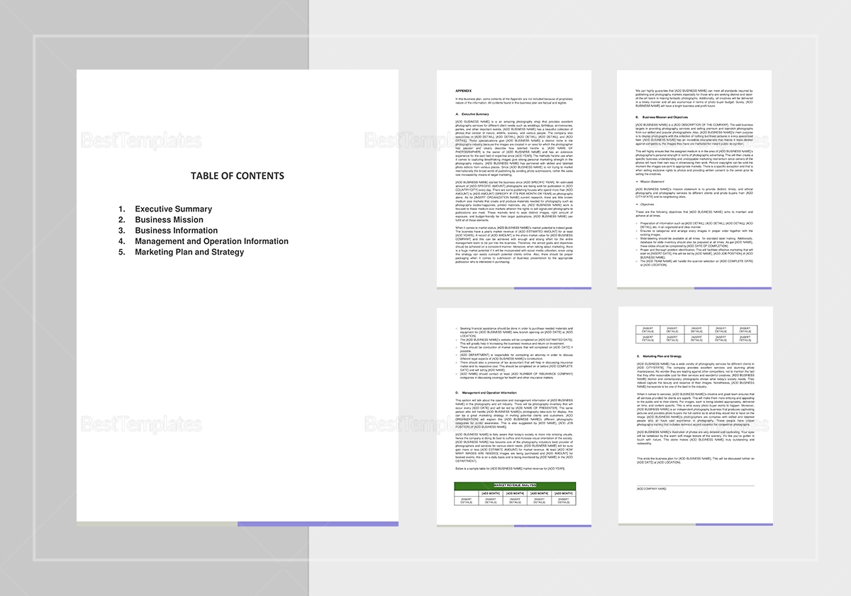 Photography Business Plan Template In Word Google Docs Apple Pages