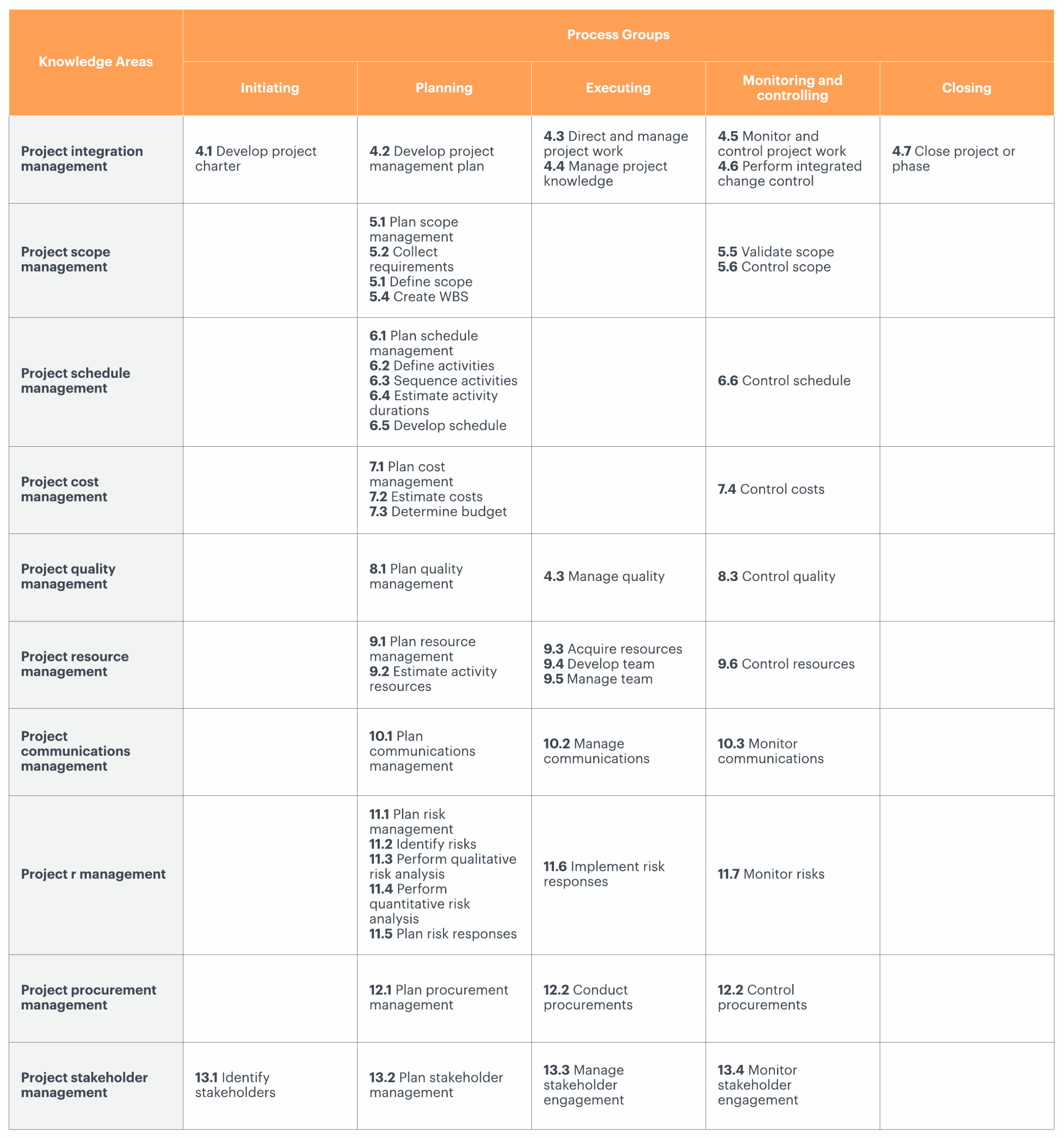Pmi Project Management Plan Template