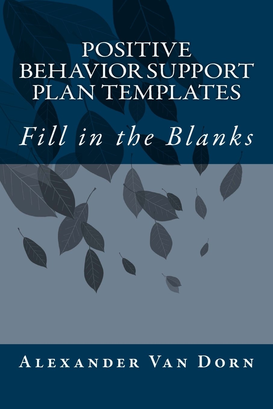 Positive Behavior Support Plan Template