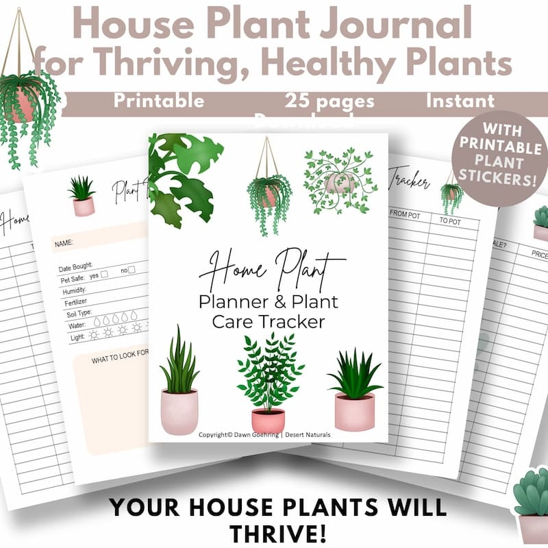 Free Printable House Plant Template