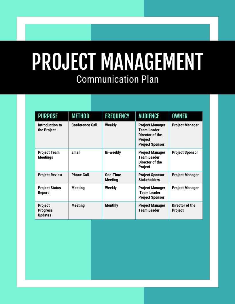 Project Communication Plan Example Template Venngage