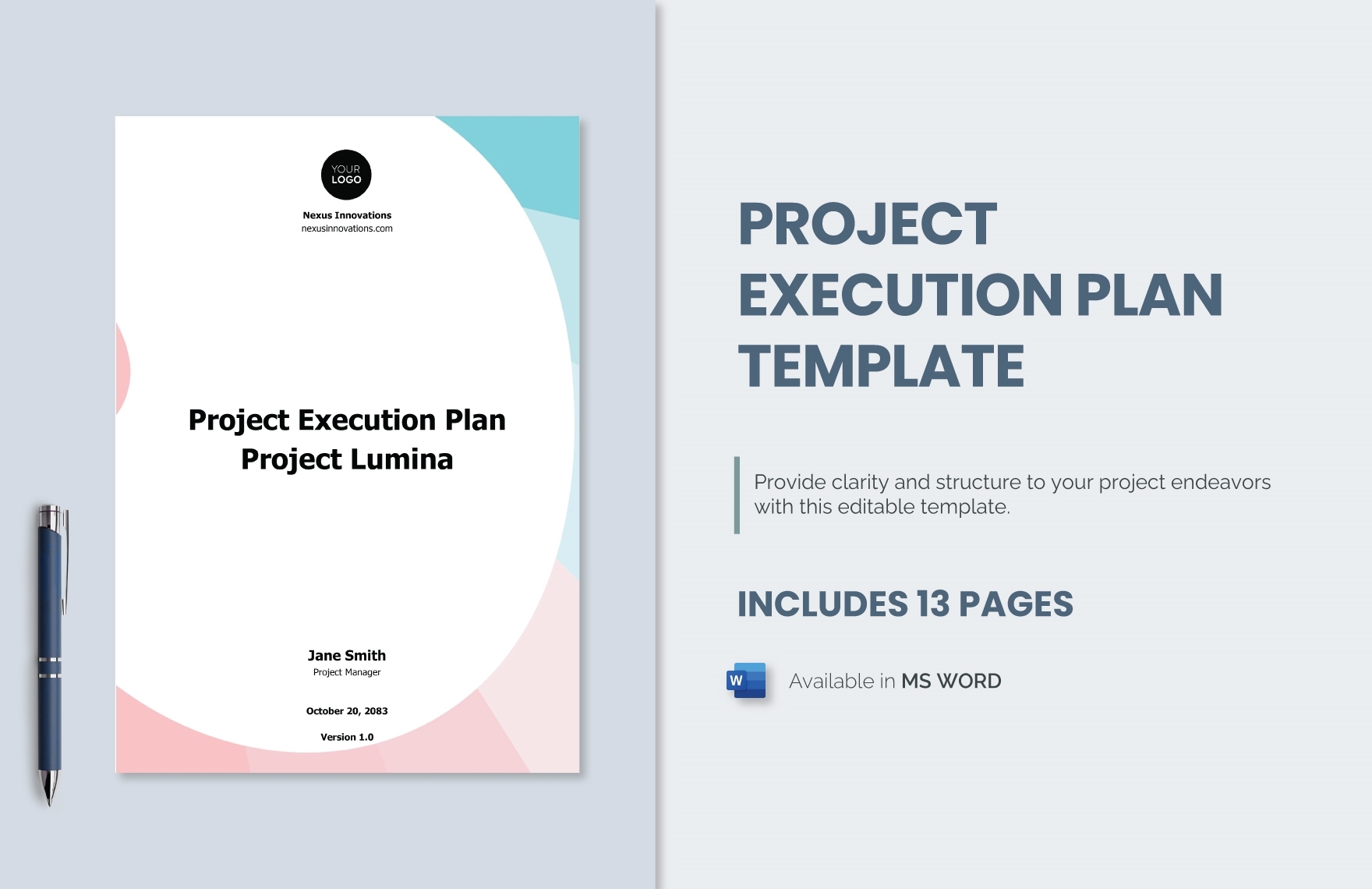 Program Execution Plan Template