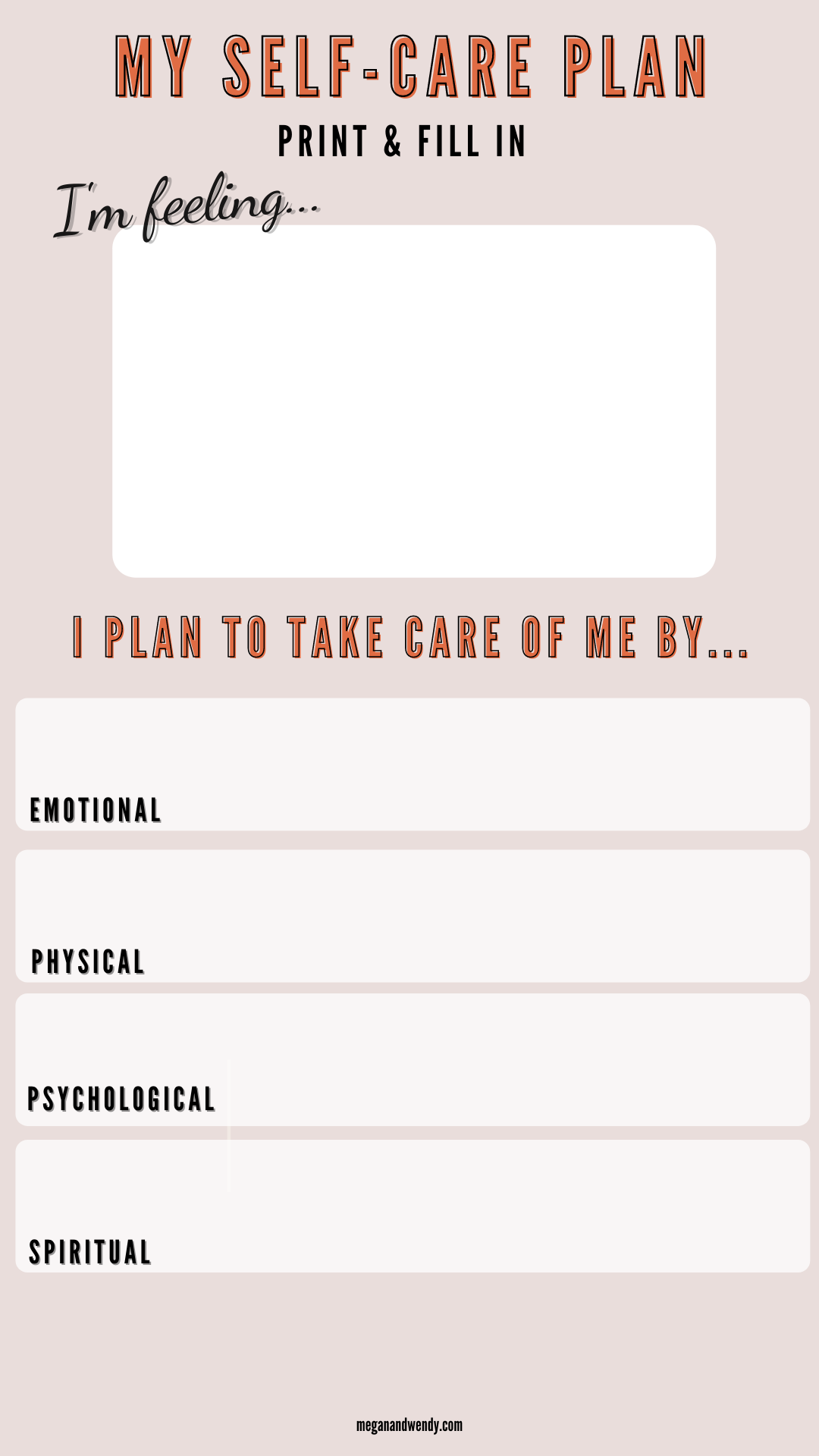 Printable Care Plan Template