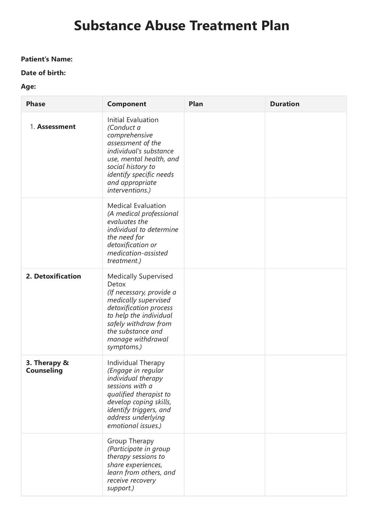 Substance Abuse Treatment Plan U0026 Example Free PDF Download
