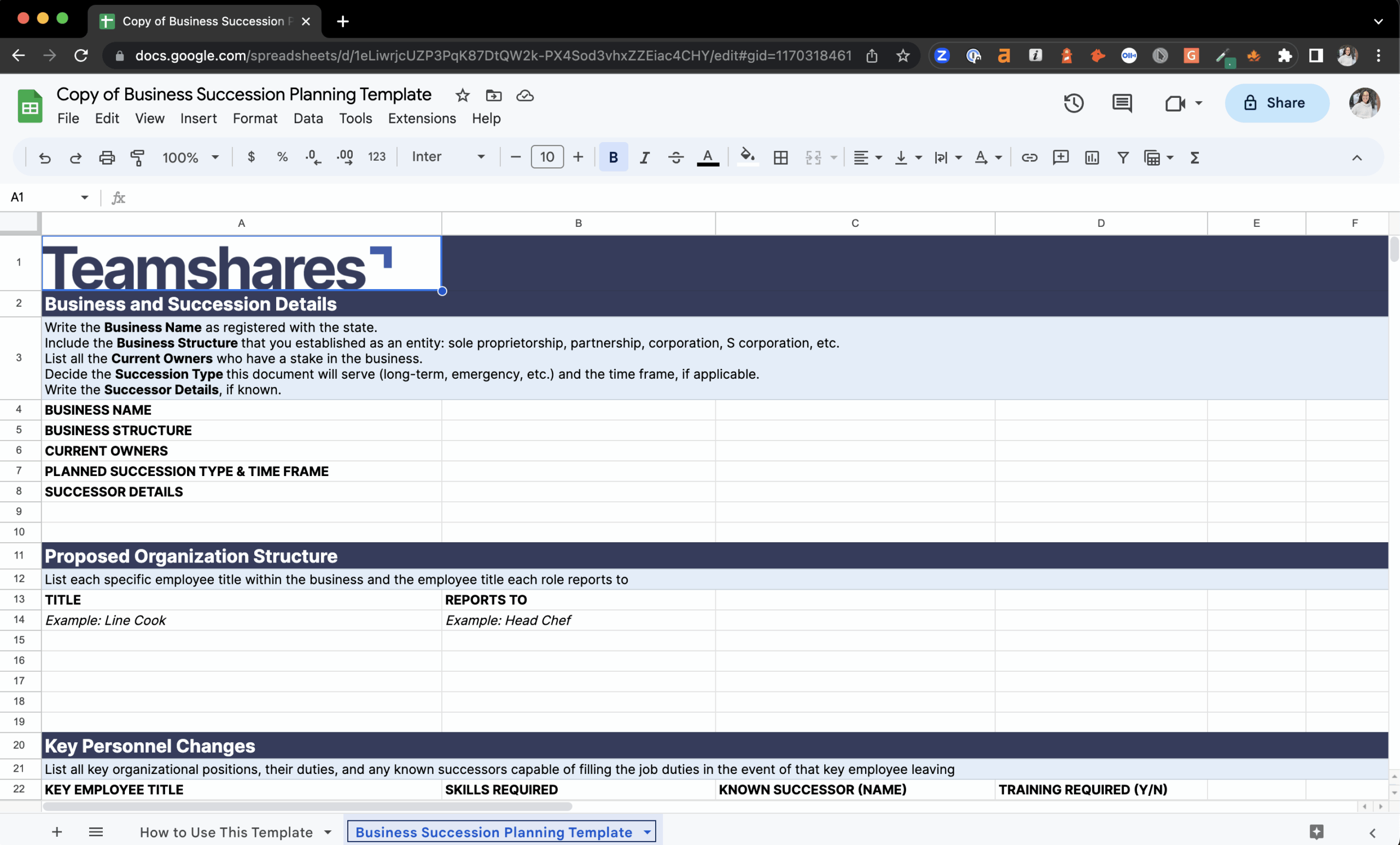 Template Succession Plan