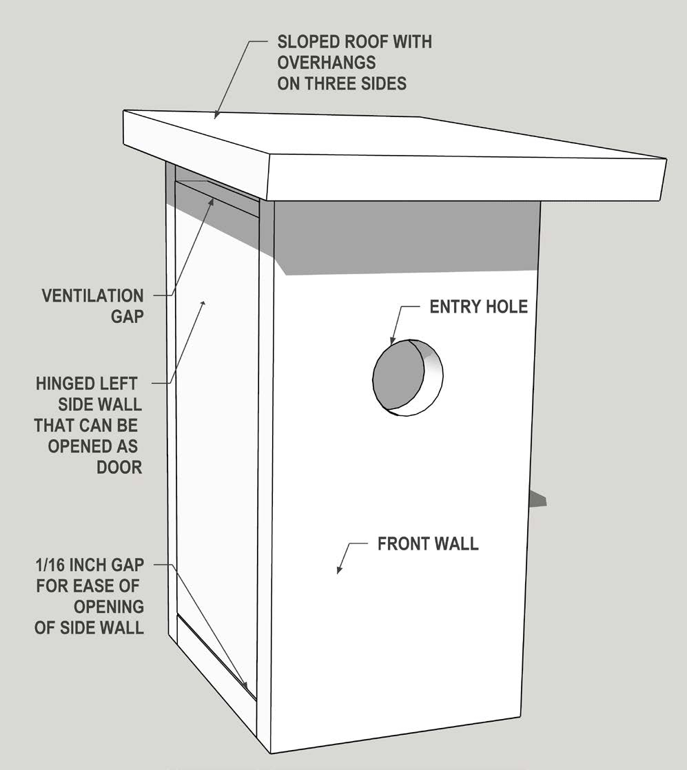 Three Designed Birdhouse Plans For Eastern Bluebirds Oklahoma 