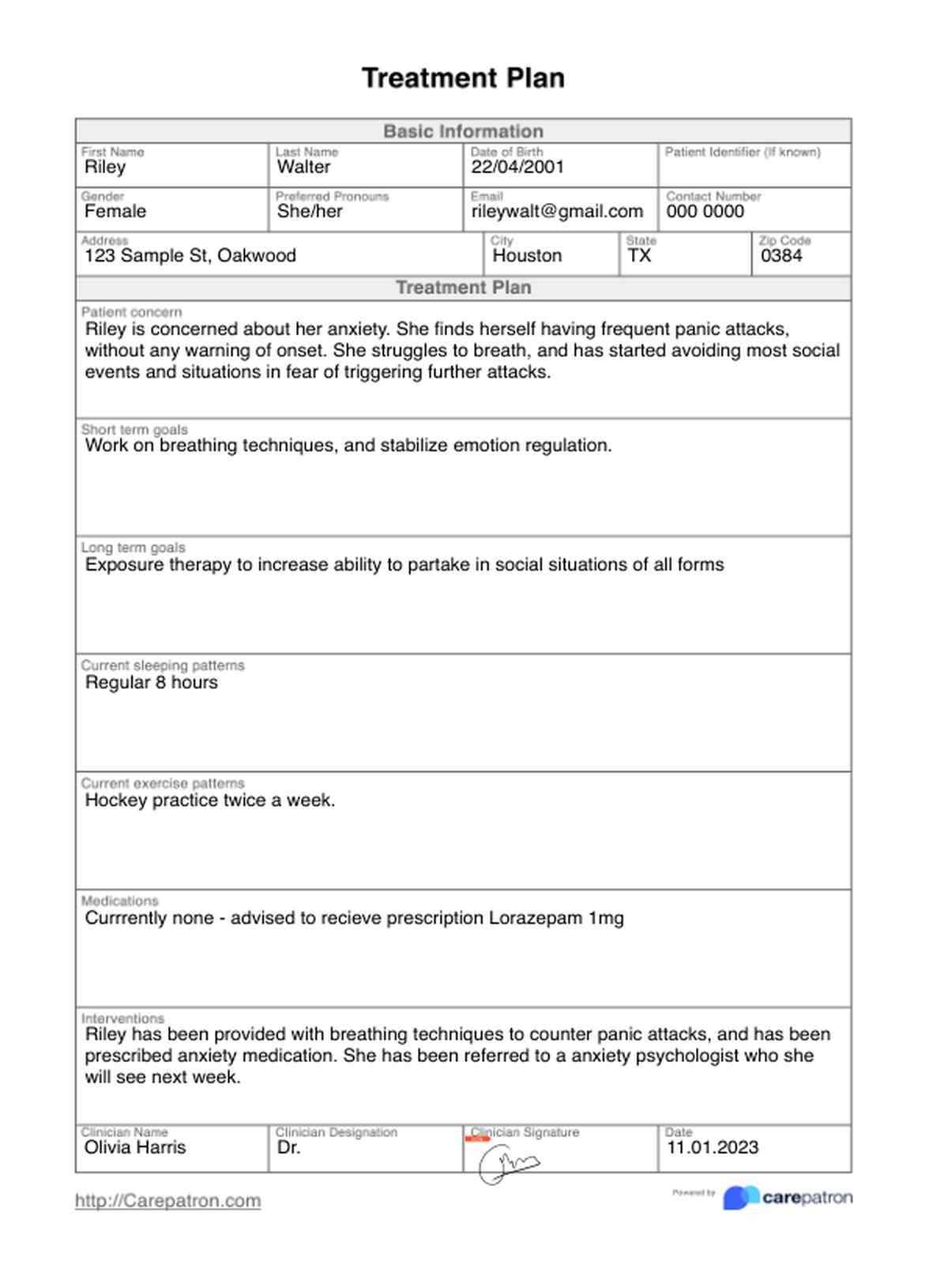 Treatment Plan Template U0026 Example Free PDF Download