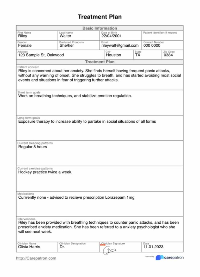 Treatment Plan Template U0026 Example Free PDF Download
