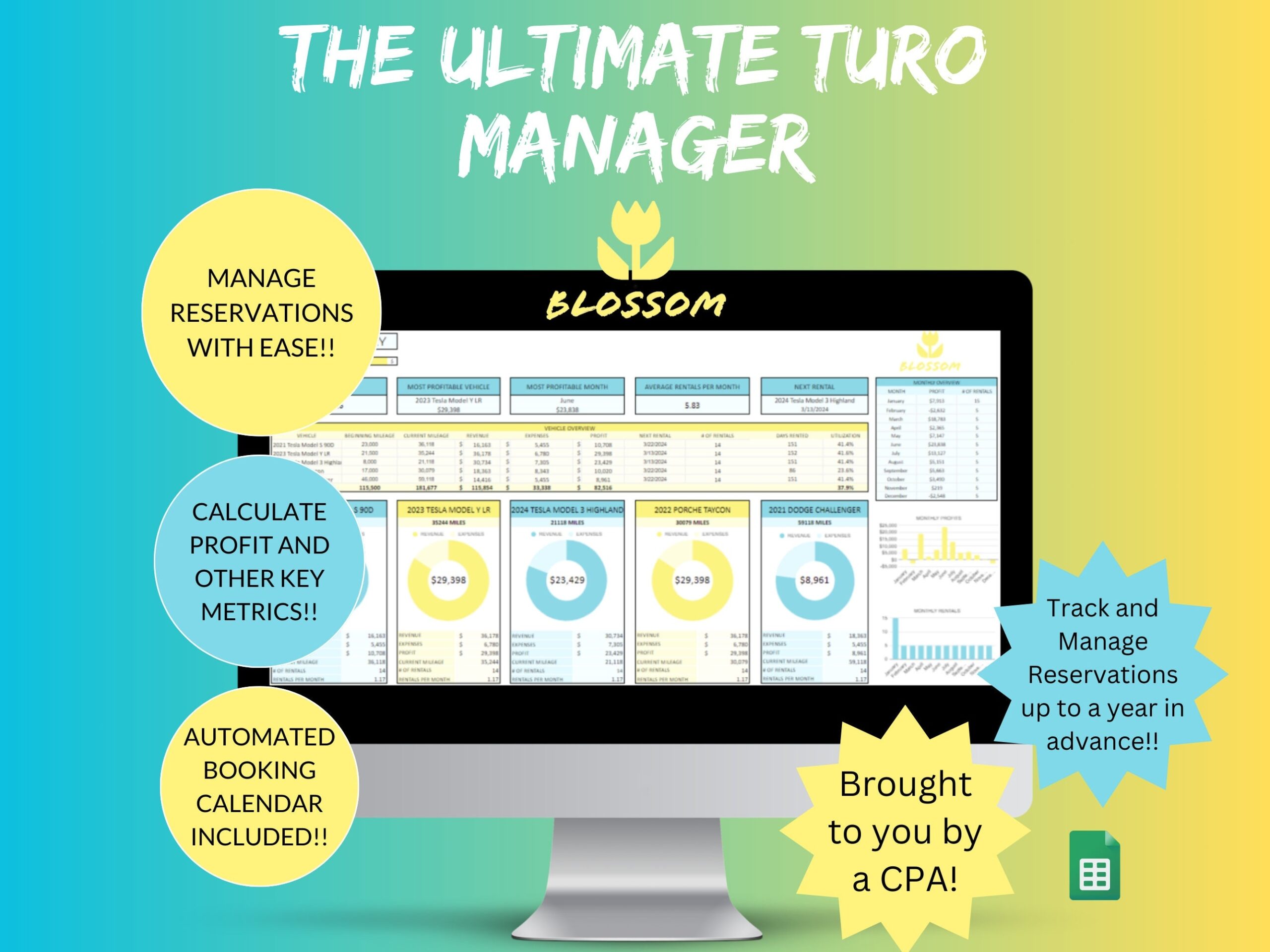 Turo Business Plan Template
