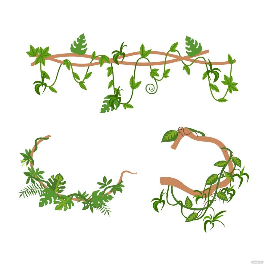 Vine Leaves Vector In Illustrator SVG PNG EPS JPG Download 
