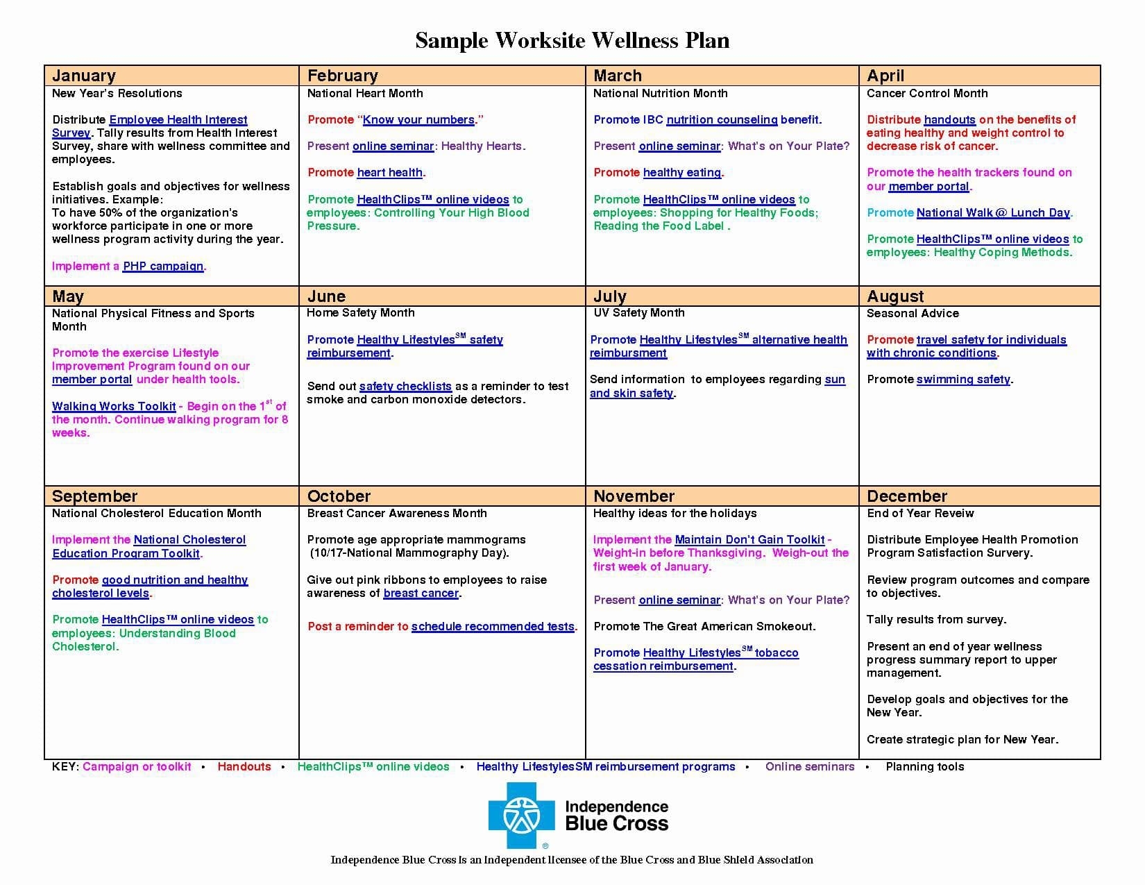 Recovery Action Plan Template