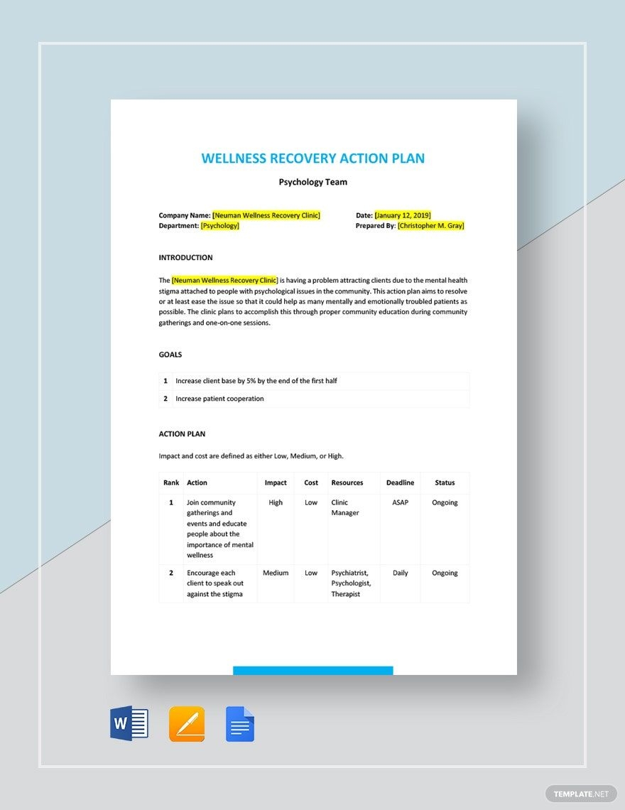 Wellness Recovery Action Plan Template In Google Docs Word Pages Download Template