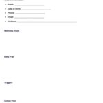 WRAP Plan Template U0026 Example Free PDF Download