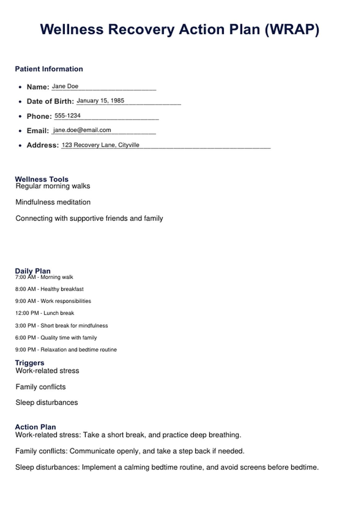 WRAP Plan Template U0026 Example Free PDF Download