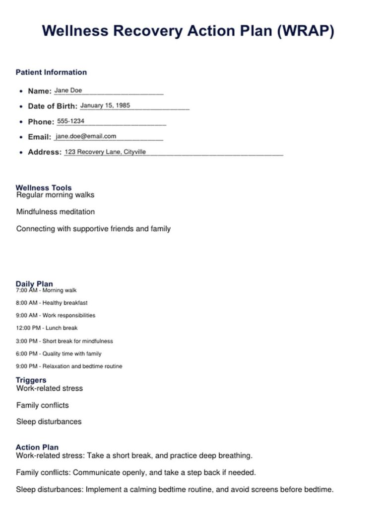 WRAP Plan Template U0026 Example Free PDF Download