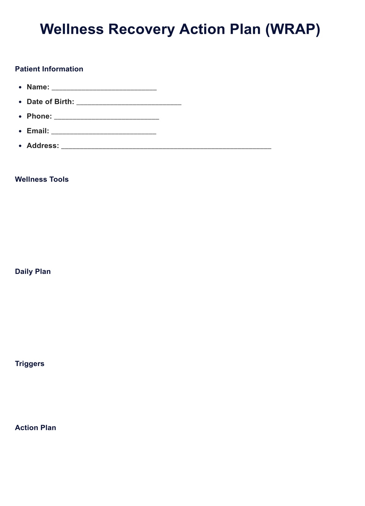 WRAP Plan Template U0026 Example Free PDF Download